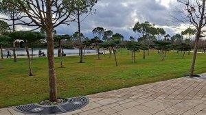 Декабрь 2025 г. Парк Галицкого.