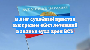 В ЛНР судебный пристав выстрелом сбил летевший в здание суда дрон ВСУ