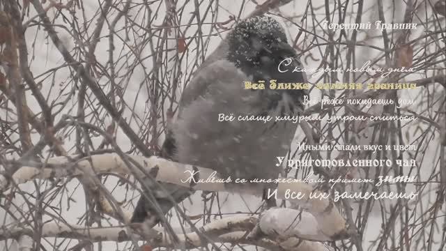 Тюмень. Ноябрь