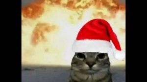 колаб с алиско