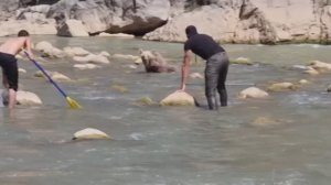 Во время рыбалке в горах , был встречен медведь , с парализованными нижними конечностями