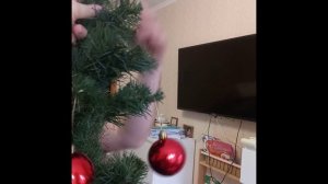 Наряжаем елку семьей и едем в аквапарк