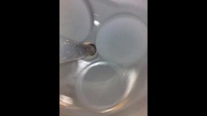 WHLU5554963-JMAS04069-CKD4407