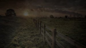 05 - On the Trail of an Ant (Remix)