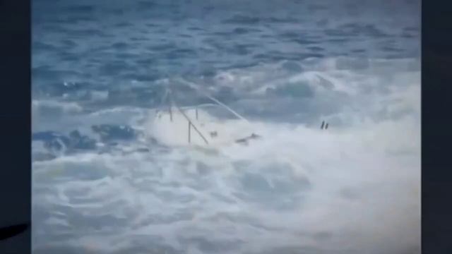 Загадки природы. Путешествие в неизведанный мир