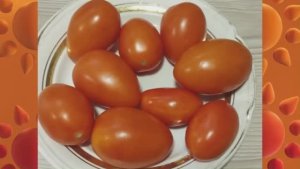 Каталог томатов на 2026 год. Часть 15. г. Киров. т.  89229284031