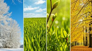 Беларусь - земля родная!