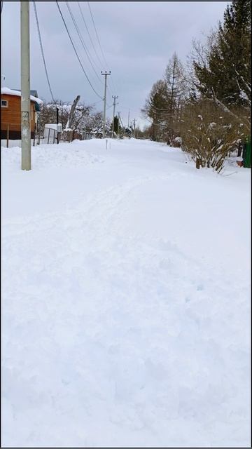 9 апреля 2024г. Сутки валил снег. смотреть онлайн