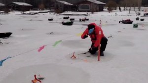 Обзор поимок