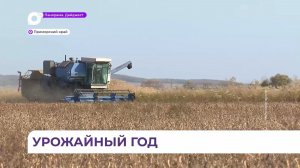 В Приморском крае увеличился урожай сои и зерновых