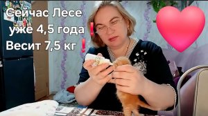 4 года назад...Кормим маленькую Лесю