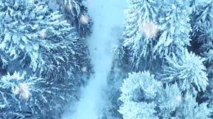 Новый год под чаёк (автор Весёлый хлебник)