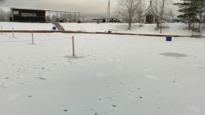 video5361691942302291142