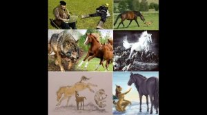 2+. Пожалела кобыла волка. Басня