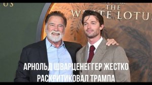 Единственный вариант. Шварцнеггер разочеровал.