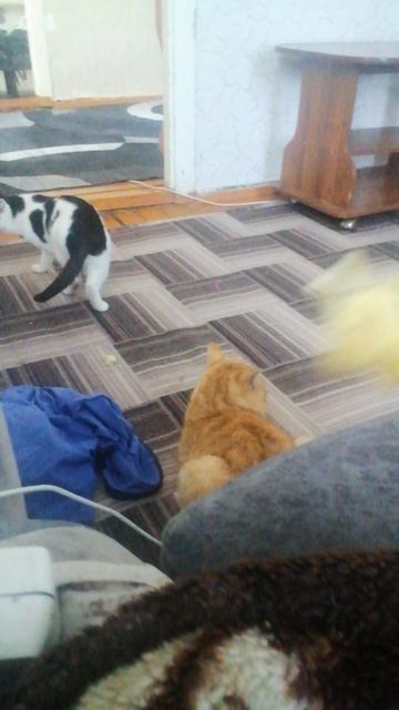 Бой за бич пакет смотреть онлайн