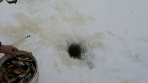 Зарыбливаем зимой второй водоём