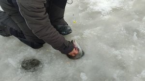 Основной водоём. На пасту.