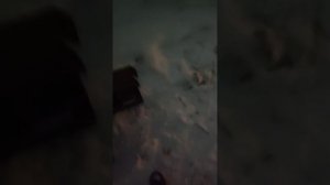 взрываем петарды с другом на день рождения канала!!!