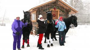 На ферме в Нижневартовском районе проводят прогулки и фотосессии на лошадях