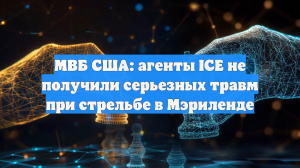 МВБ США: агенты ICE не получили серьезных травм при стрельбе в Мэриленде
