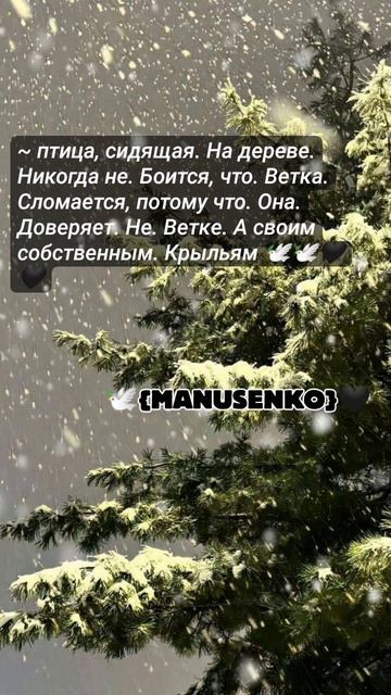 💥⚜️НоВаЯ ЦыГаНсКаЯ ПеСнЯ 2026 г. 
Эту песню ИЩУТ все ⚜️💥💯
🕊️ Полетели 🕊️ смотреть онлайн