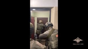 Ирина Волк: Сотрудники МВД России пресекли деятельность группы автоподставщиков