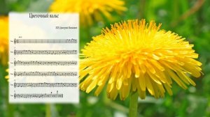 Цветочный вальс