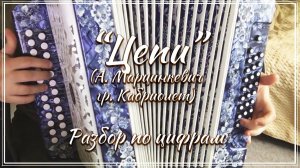 "Цепи" (А. Марцинкевич, гр. Кабриолет) / Разбор на гармони по цифрам