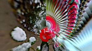 С Днём Рождени!!! Зимняя сказка для Единственной 4 от Киностудии Мудрого Кота Тимофея!