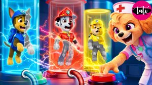 Щенячий патруль и Маршалл. Залипательное видео. Мультфильм для детей и малышей. Анимация 13