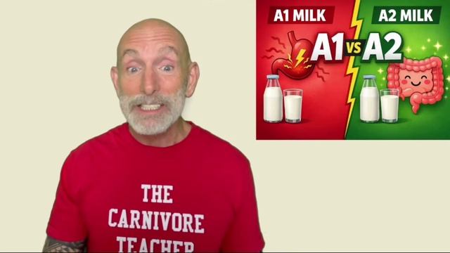 Молоко от коров с геном A1 и Молоко от коров с геном A2 , объясняет проблемы с пищеварением