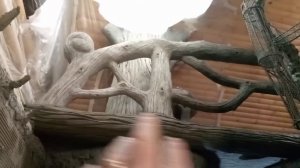 оформление дачи.лестница на второй этаж.мастер Мызников Иван