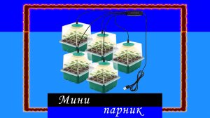 Домашний мини парник