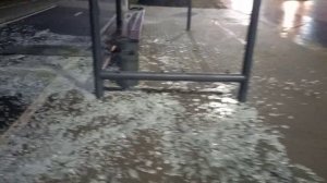 В Воронеже ищут неизвестных вандалов, разгромивших остановку общественного транспорта