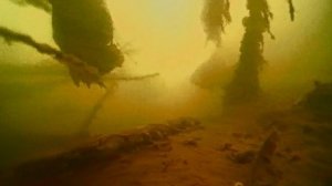 Окунь размером С ЯЩИК!
Плотва атакует чертика! 
Рыбалка на мормышку. 
Новые места