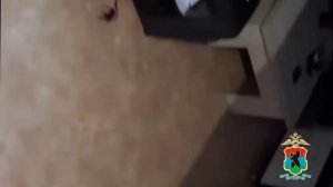 В Карелии перед судом предстанет красноярец за взлом аккаунтов на портале госуслуг и серию афер