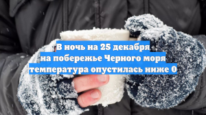 В ночь на 25 декабря на побережье Черного моря температура опустилась ниже 0