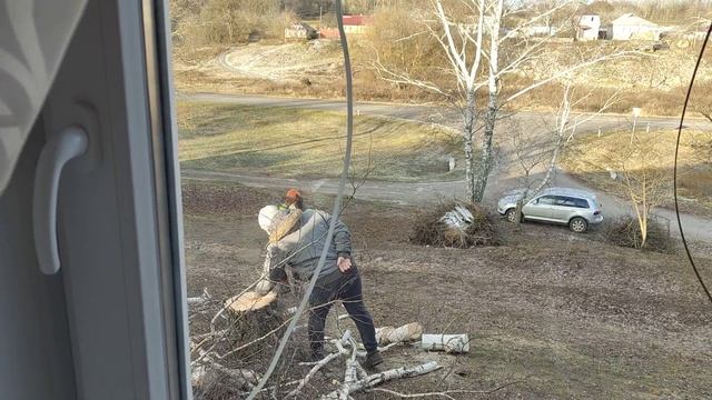 Влоги из деревни. Пилим деревья. Варим сок. Новый диван. Небольшие покупки к НГ. смотреть онлайн
