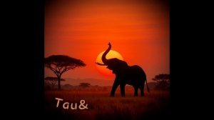 Слоновый вальс – джазовый саксофон с африканским настроением