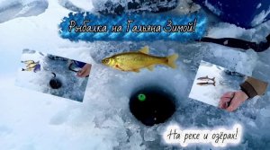 ЗИМНЯЯ РЫБАЛКА на ГОЛЬЯНА на ПОПЛАВОК,2025-2026!!!