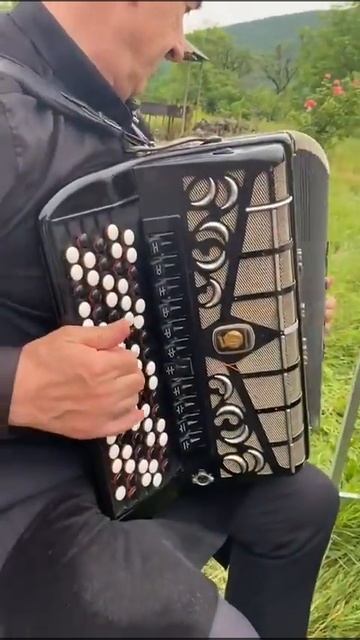 Шамиль Гаджиев НОВИНКА даргинская песня смотреть онлайн