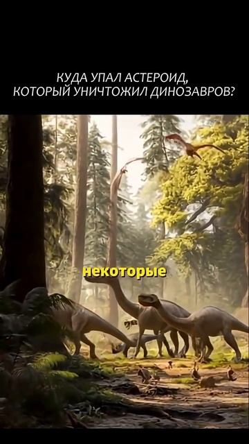 25-12-2025 смотреть онлайн