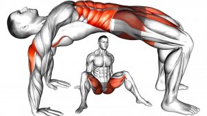 10 Упражнений для Улучшения КРОВООБРАЩЕНИЯ