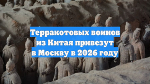 Терракотовых воинов из Китая привезут в Москву в 2026 году