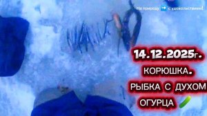 КОРЮШКА. ЛОВЛЯ КОРЮШКИ. 14.12.2025. ХОРОШИЙ УЛОВ! #рыбалка #fishing #корюшка #природа