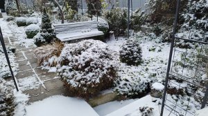 Зимняя прогулка по южному саду. С первым снегом 25.12.2025 г. Пятигорск.