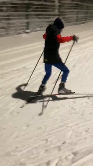 коньковый ход ..... смотреть онлайн