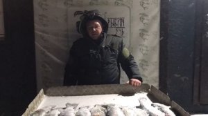 улов форели у Александра