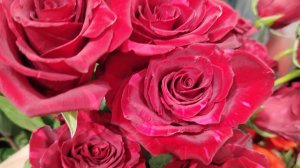 Уходит эпоха. Наше кино. Сегодня Вера Алентова ушла в вечность......